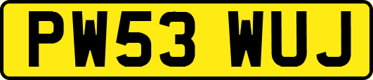 PW53WUJ