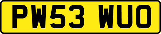 PW53WUO