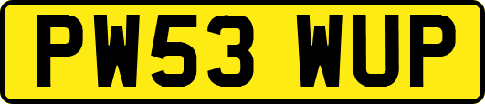 PW53WUP