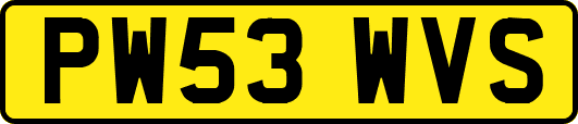 PW53WVS