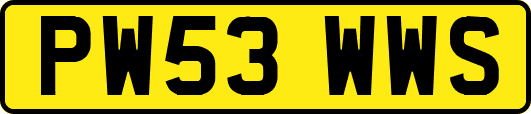 PW53WWS