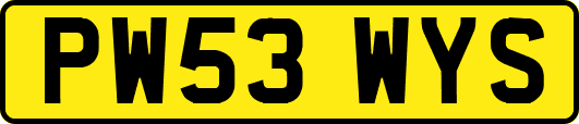 PW53WYS