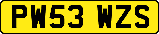 PW53WZS