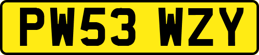 PW53WZY
