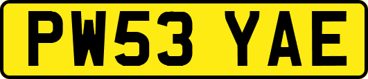 PW53YAE