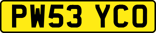 PW53YCO
