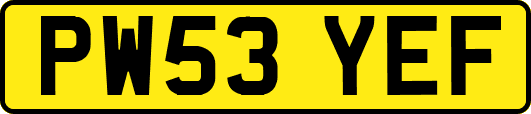 PW53YEF