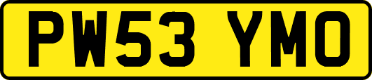 PW53YMO