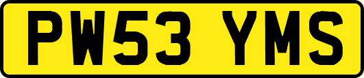PW53YMS