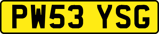 PW53YSG