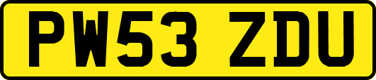 PW53ZDU
