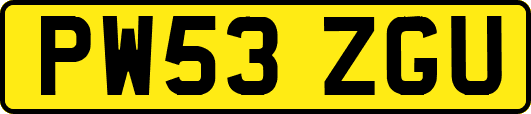 PW53ZGU