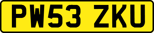 PW53ZKU