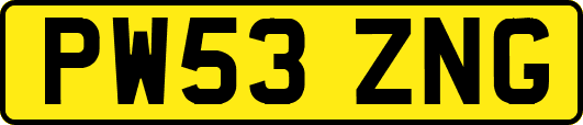 PW53ZNG