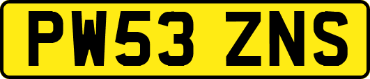 PW53ZNS