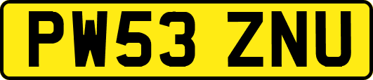 PW53ZNU