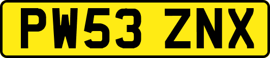 PW53ZNX