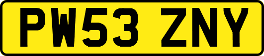 PW53ZNY
