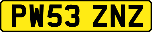 PW53ZNZ