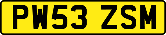 PW53ZSM
