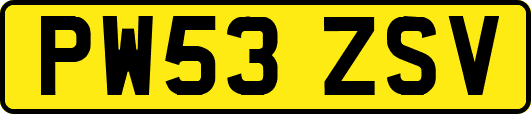PW53ZSV