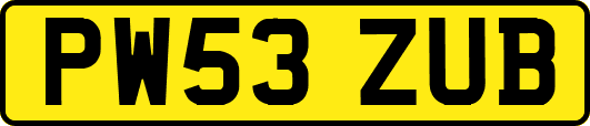 PW53ZUB