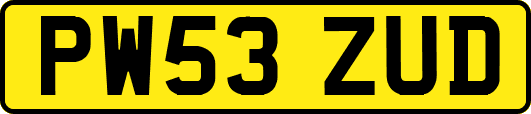 PW53ZUD