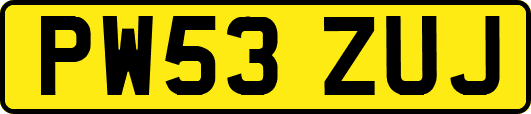 PW53ZUJ