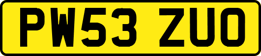 PW53ZUO