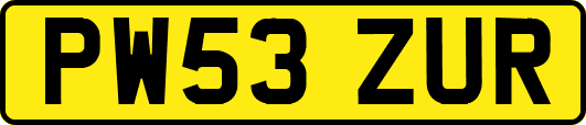 PW53ZUR