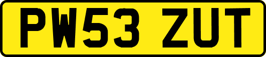 PW53ZUT