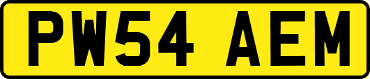 PW54AEM