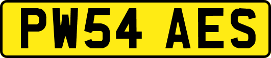 PW54AES