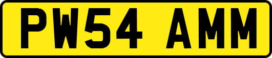 PW54AMM