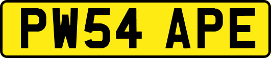 PW54APE