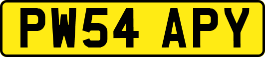 PW54APY