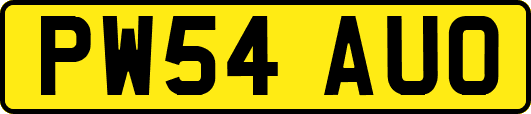 PW54AUO