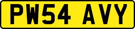 PW54AVY