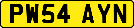 PW54AYN