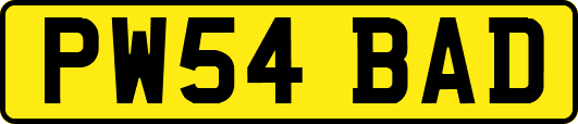 PW54BAD