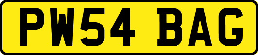 PW54BAG