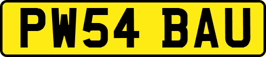 PW54BAU