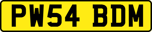 PW54BDM