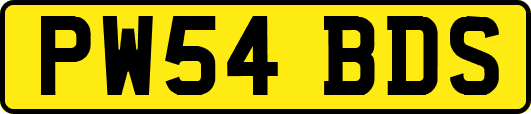 PW54BDS