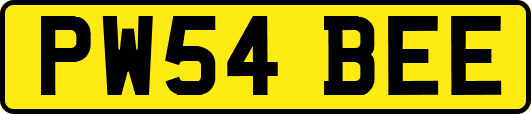 PW54BEE