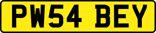 PW54BEY