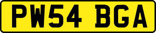 PW54BGA