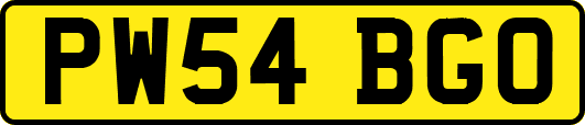 PW54BGO