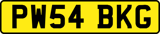 PW54BKG