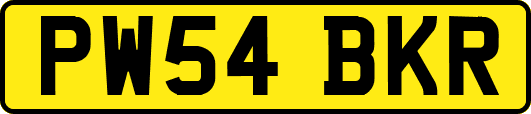 PW54BKR